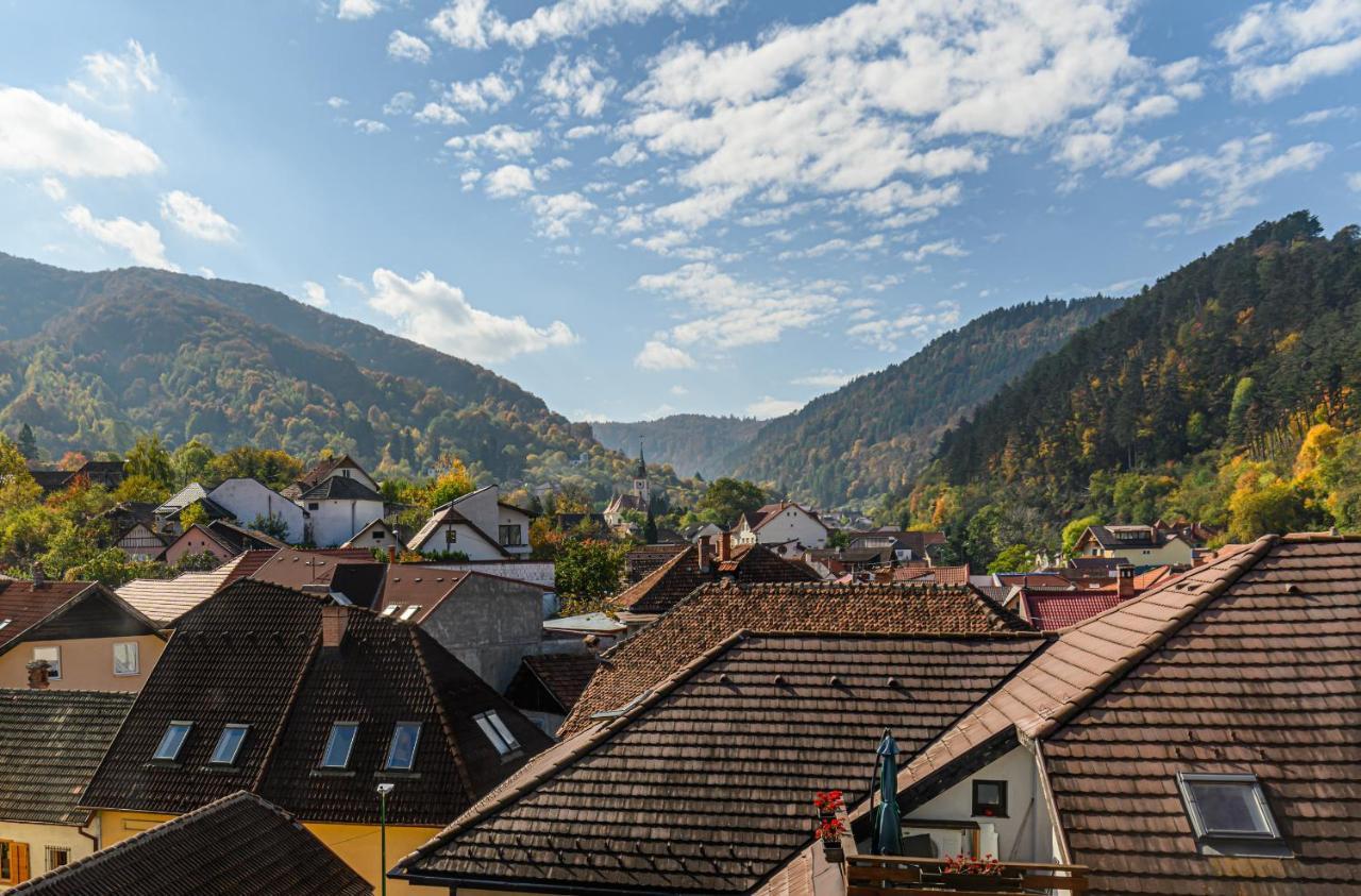 Sun Villas Accommodation Brasov Exterior photo